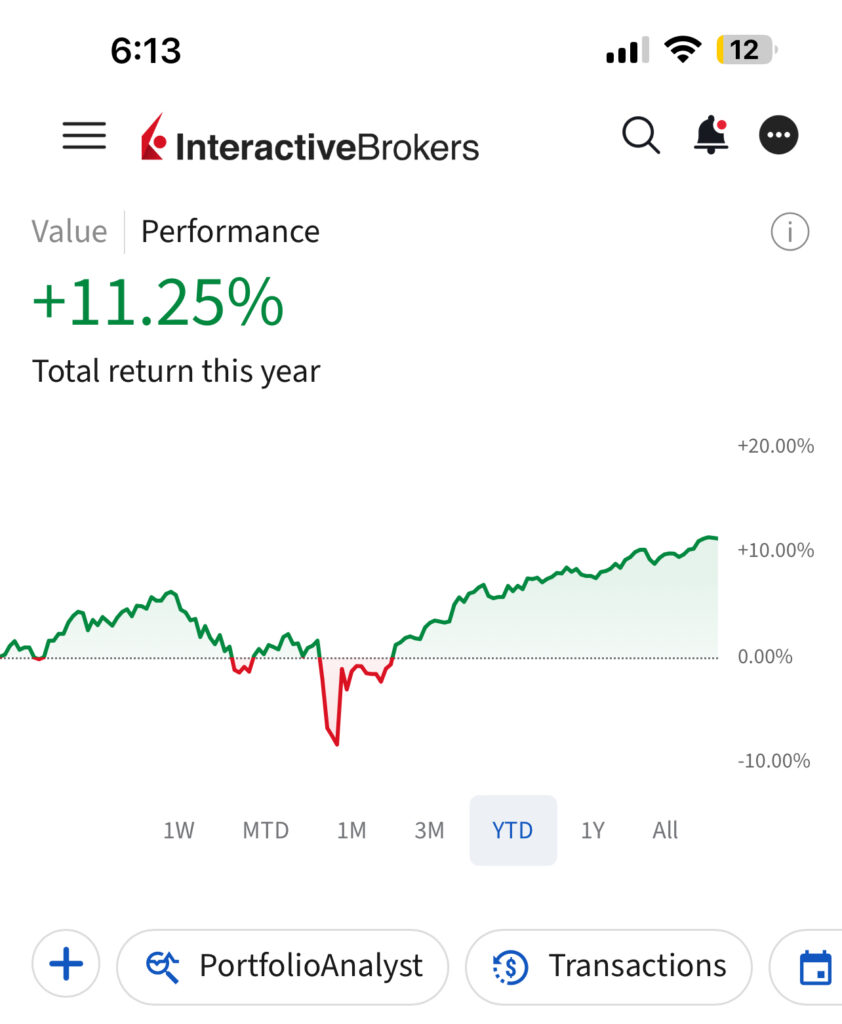 A screenshot of my portfolio YTD